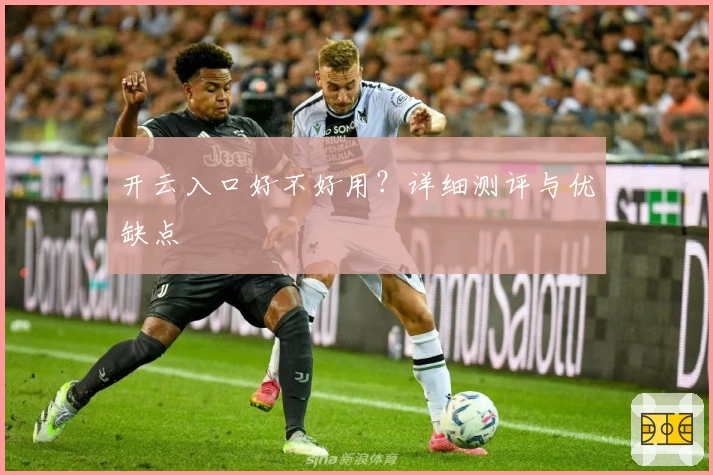 开云入口好不好用？详细测评与优缺点