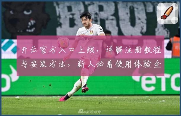 开云官方入口上线，详解注册教程与安装方法，新人必看使用体验全攻略